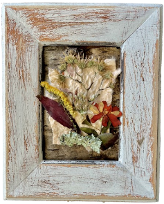 Aster & Zinnia Melange in 5"x7" Green Frame