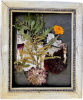 Goldenrod and Zinnia Melange on Birchbark and Charcoal Paper in a 8"x10" Distressed White Frame