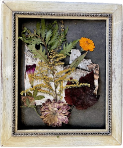 Goldenrod and Zinnia Melange on Birchbark and Charcoal Paper in a 8"x10" Distressed White Frame