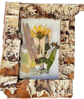 Wingstem, Ladysthumb and Leaves on Pink and White Paper in 5"x7" Birch Frame