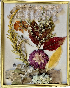 Zinnia and Goldenrod Melange with Birch and Gray Paper in a Gold Metal 8"x10" Frame